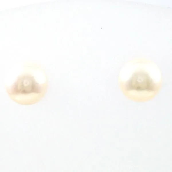 18K Gold Yellow Gold Akoya Pearl Earrings